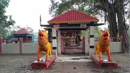  अनुमंडल प्रशासन की ओर से पर्यटन को बढ़ावा देने के लिए मदनपुर देवी स्थान को पर्यटन विभाग के प्रसाद योजना से जोड़ा जाएगा. इसको लेकर जिला प्रशासन को प्रस्ताव भेजा गया है. योजना से जुड़ने पर देशभर के प्रमुख मंदिरों में मदनपुर देवी स्थान भी शामिल हो जाएगा. वाल्मीकि टाइगर रिजर्व के जंगलों के बीच स्थित मदनपुर देवी मंदिर प्रसाद योजना से जुड़ने के साथ ही यहां पर्यटन को भी बढ़ावा मिलेगा.
