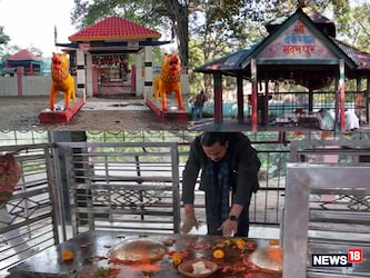  मदनपुर देवी स्थान की यह है मान्यता- वाल्मीकि टाइगर रिजर्व के जंगलों के बीच स्थित मदनपुर देवी स्थान की मान्यता है कि रहसू गुरु यहां बाघों से फसल की दौनी करते थे. साथ ही इस दौनी में सांप की रस्सी बनाकर प्रयोग किया करते थे. इस बात की सूचना गोपालगंज के राजा मदन सिंह को मिली तो वे देवी से मिलने की जिद करने लगे. रहसू गुरु ने गोपालगंज के राजा मदन सिंह के जीत पर उन्हें माता का दर्शन कराया था.