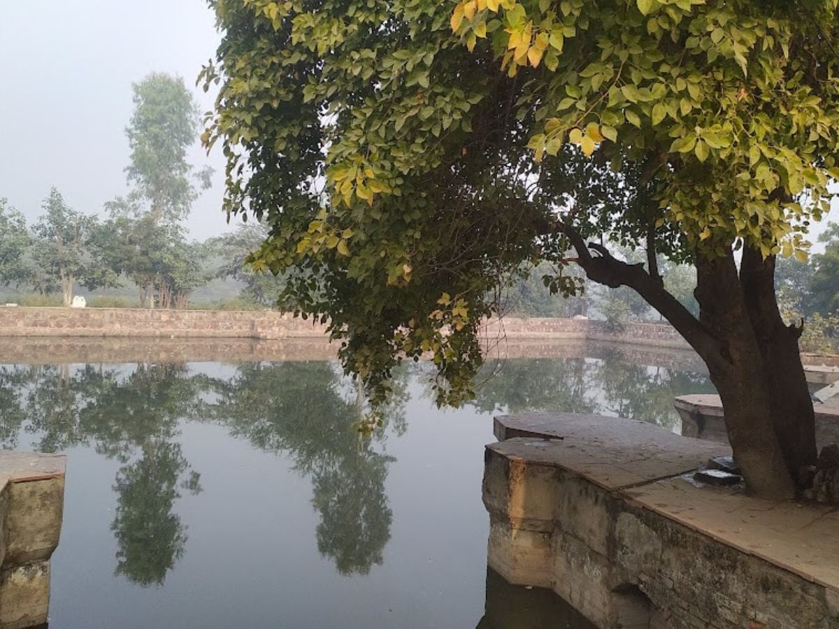 Mukhrai village, where is Mukhrai village, where is Radhaji's maternal, Brajbhoomi, where is Mathura Vrindavan, what is Charkula dance, Govardhan parikrama, Radhakund, Braj Chaurasi Kos, Brajvasi, Govardhan Puja, Barsana, Radha Krishna, Ladli Radha Kishori Radha, Radharani Bhajans, Krishna Bhajans, Temples of Mathura, Banke Bihari Temple, Vrindavan Dham, मुखराई गांव, मुखराई गांव कहां है, राधाजी की ननिहाल कहां हैं, ब्रजभूमि, मथुरा वृंदावन कहां हैं, चरकुला नृत्य क्या है, गोवर्धन की परिक्रमा, राधाकुण्ड, ब्रज चौरासी कोस, ब्रजवासी, गोवर्धन पूजा, बरसाना, राधा कृष्ण, लाडली राधा किशोरी राधा, राधारानी के भजन, कृष्ण भजन, मथुरा के मंदिर, बांके बिहारी मंदिर, वृंदावन धाम, वृंदावन कॉरिडोर, Banke Bihari Temple, बांके बिहारी मंदिर कॉरिडोर, Mukhrai Gaon Kahan Hai, Radha Ji Ki Nanihal, Charkula Nritya, charkula nritya kaha ka hai, Charkula Dance, Bajani shila, Musical Stone, Travelogue, travelogue writing, Hindi Sahitya News, Literature News, Mathura News, Uttar Pradesh News, Shriram Sharma, delhi mathura distance,