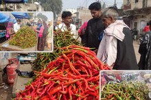 Karauli News : एक ऐसी मिर्ची, जिसका करौली वासी प्रतिदिन करते हैं 20 क्विंटल सेवन