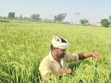 किसानों के खाते में आएंगे 12000 रुपये, ₹6000 देता है केंद्र, बाकी देगा...