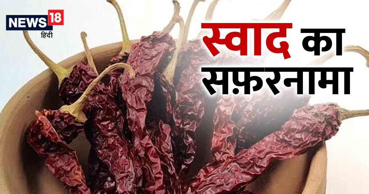 स्वाद का सफ़रनामा इम्यून सिस्टम मजबूत करती है कश्मीरी लाल मिर्च, गहरा