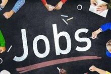 Rajasthan RSMSSB Recruitment 2023: राजस्थान कर्मचारी चयन बोर्ड में इन 48000 पदों पर निकली वैकेंसी, जल्द करें आवेदन, अच्छी है सैलरी 