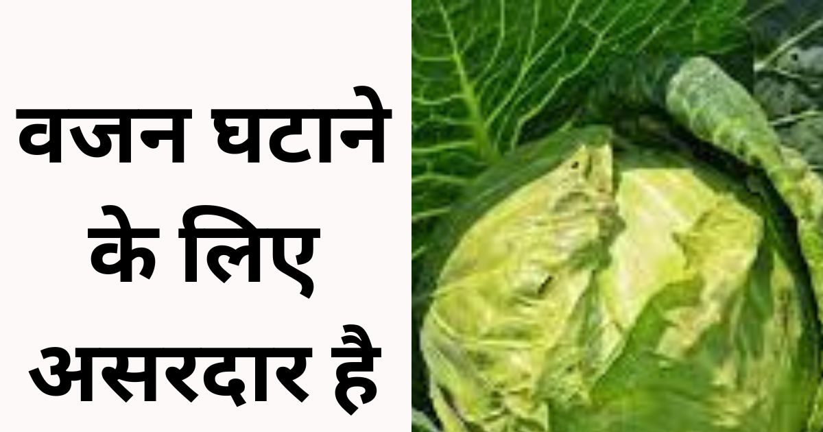 Weight Loss Tips: Eat cabbage in this way, weight will decrease, immunity will increase