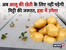 अब हवा में उगेगा आलू, जानें वैज्ञान‍िकों की इस नई खोज के बारे में सबकुछ