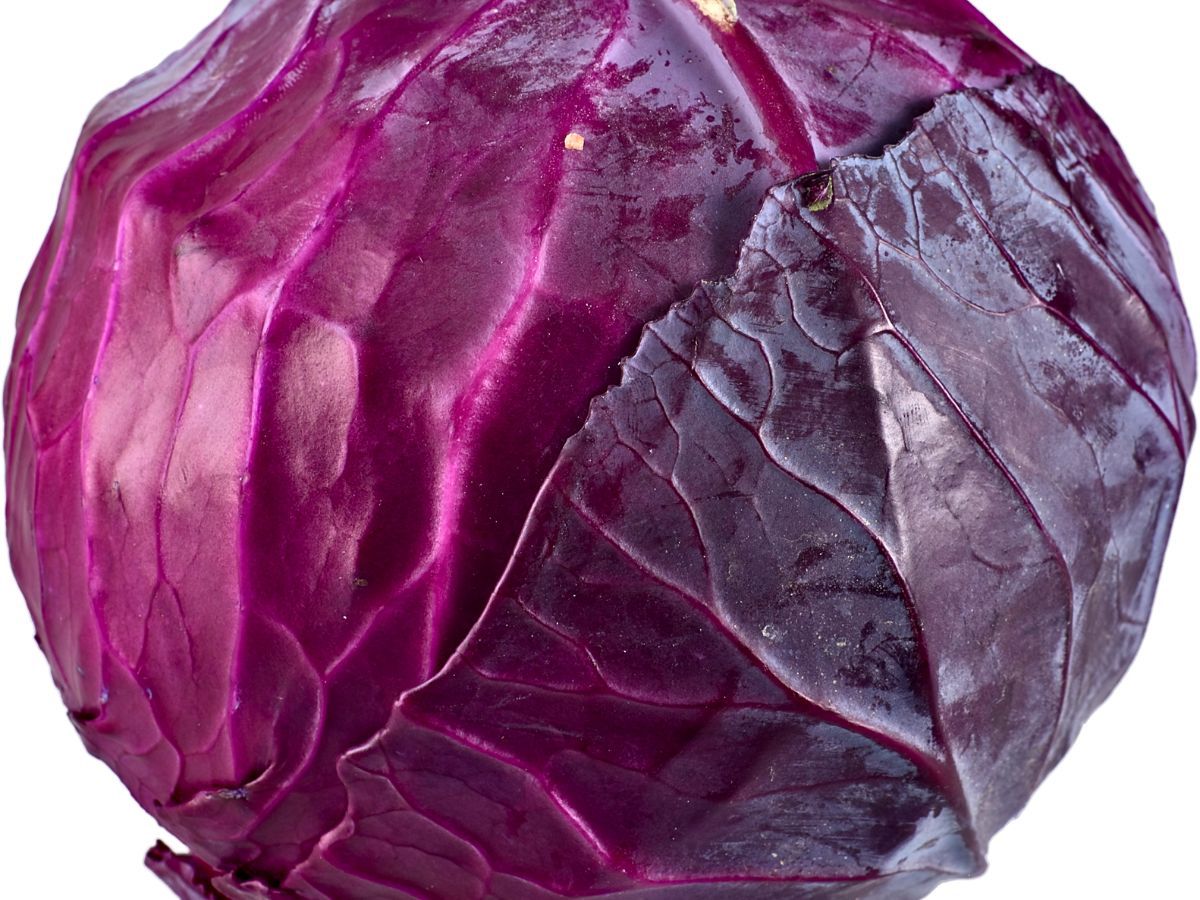 स्वाद का सफ़रनामा सब्जी से लेकर सलाद तक उपयोग होती है पत्तागोभी, आंखे