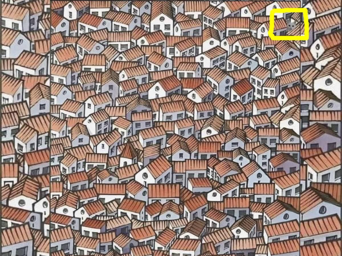 Can you spot a cat in this picture, Spot The Object Puzzle, Optical illusion, can you spot a cat, can you spot a cat within 10 seconds, Optical illusions, Viral Puzzle, Trending puzzle