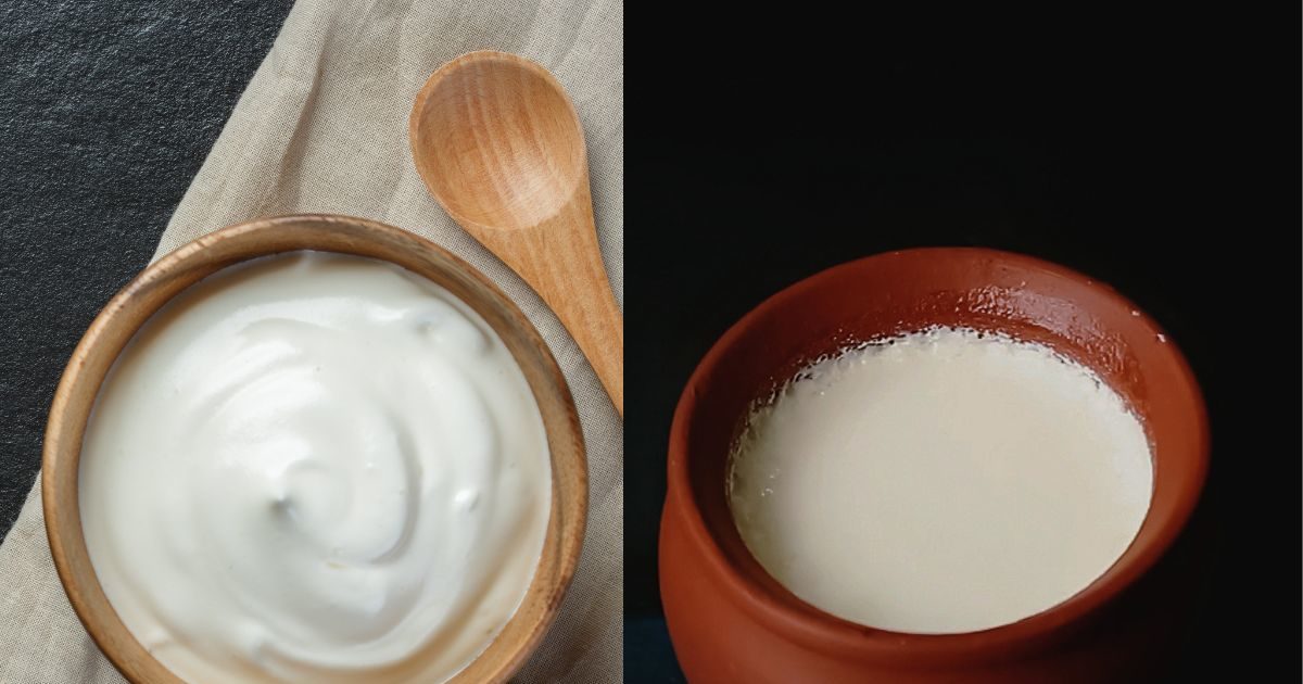 You also do not understand the difference between curd and yogurt