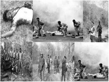शादी से पहले ही बहन हुई प्रेग्नेंट, फिर ऐसा हुआ कि भाई 'डॉक्टर' से बन गया डकैत
