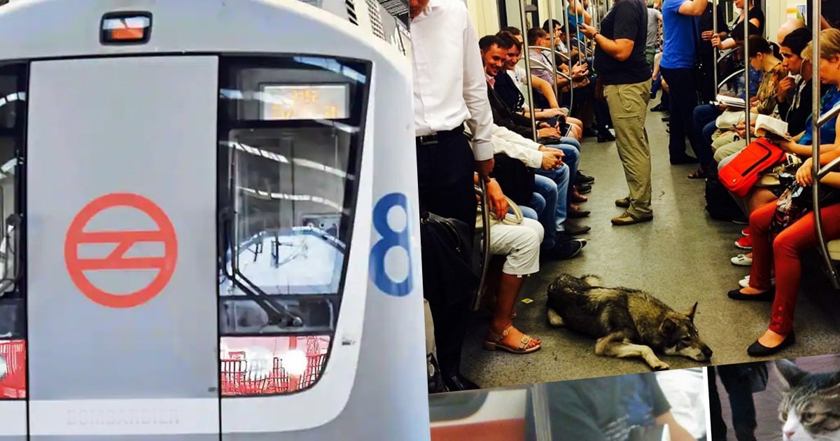 दिल्‍ली मेट्रो में पालतू जानवर को टोकन लेकर करा सकते हैं सफर? क्‍या है नियम, पढ़ें delhi metro