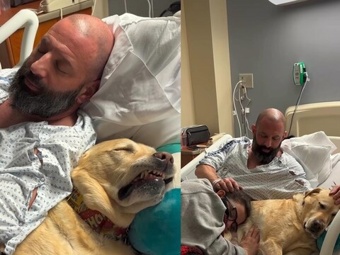 मालिक को बीमार देख वफादार डॉग अस्पताल के रूप तक पहुंच गया.(Credit/VideoGrab/magnusthetherapydog)
