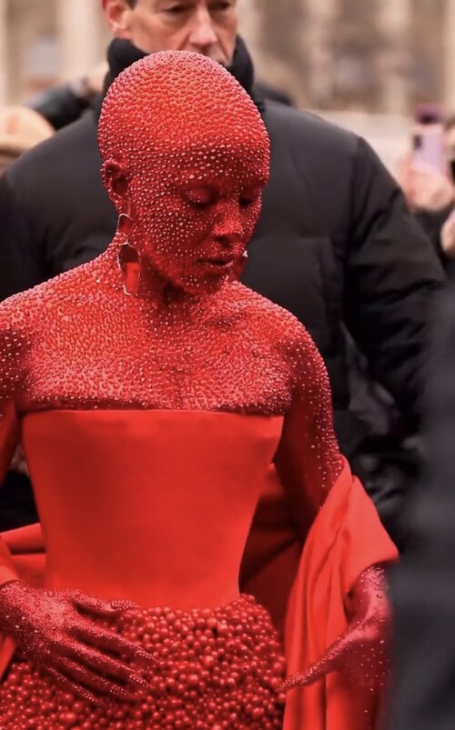 अमेरिकी रैपर डोजा कैट, 2023 पेरिस फैशन वीक, डोजा कैट वीडियो, डोजा कैट लुक, डोजा कैट फोटो, डोजा कैट स्टाइल, डोजा कैट माके अप टाइम, हॉलीवुड समाचार