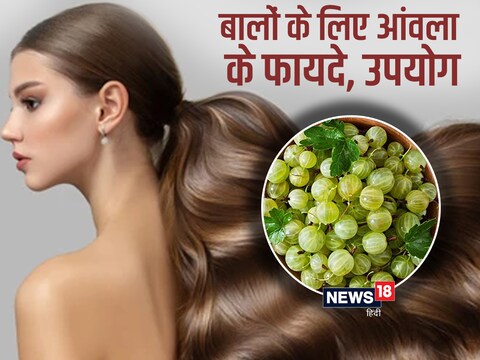 आंवला बालों की ग्रोथ बढ़ाने के लिए है बेस्ट, जान लें इस्तेमाल करने का सही  तरीका, हेयर होंगे जड़ से मजबूत, काले - benefits of amla for hair growth how  to use
