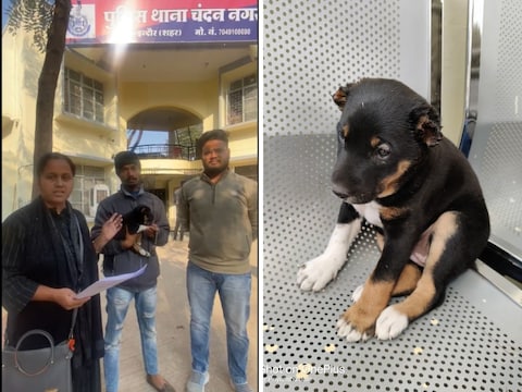 इंदौर के चंदननगर में एक युवक ने कुत्ते के पिल्ले कान काट दिए. पुलिस ने मामला दर्ज कर आरोपी की तलाश शुरू कर दी है.