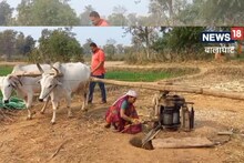 Taste of Balaghat: हाथो-हाथ बिकता है भिंडी से बना बालाघाट का गुड़, चौंक गए? VIDEO में देखें कठिन प्रोसेस