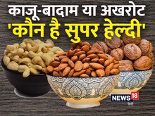 काजू, बादाम या अखरोट? AIIMS डायटीशियन से जानें क्‍या खाना है बेहतर