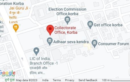 मशरूम केक, विशेष केक, स्वस्थ केक, पौष्टिक मशरूम केक, कोरबा समाचार, मशरूम पोषण, छत्तीसगढ़ समाचार, केक की दुकान कोरबा, कोरबा में सबसे अच्छा केक, समाहरणालय कोरबा