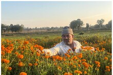Marigold Farming: डूंगरपुर में पारंपरिक खेती छोड़ अब फूल की खेती से कमा रहे लाखों, जानें तीन किसान भाइयों की इनकम