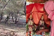 Dausa News: जानिए कालाखो गांव की पहाड़ी का रहस्यमयी सच, जहां एक रात में बड़ा होता है पेड़