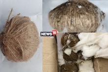 कहां तबाही फैलाने की थी तैयारी! पुलिस ने बरामद किया हथगोलों का जखीरा