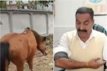 OMG! 'कुत्ता बन गया घोड़ा', गली मुहल्ले में लोगों पर कूद-कूद कर रहा अटैक, देखें Video