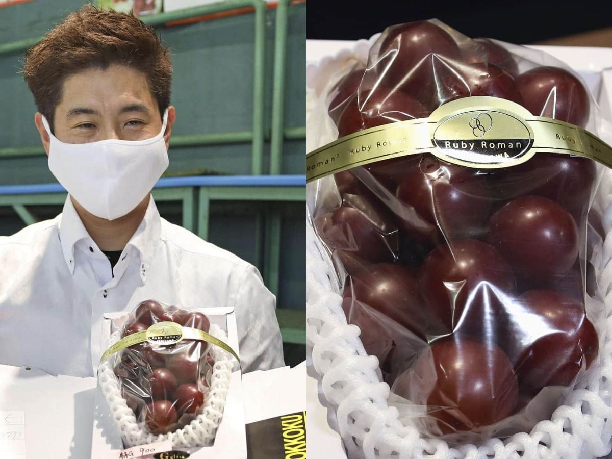 The Worlds Most Expensive Grapes Cost 10 900 For A Bu vrogue.co