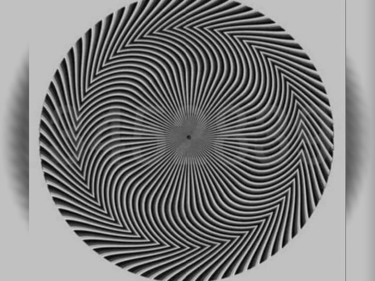 What number do you see in this optical illusion, What Number You Spot Behind Black and White Pattern, Spot The Hidden Numbers, What number do you see in optical illusion, Clever Optical Illusion, Optical Illusions, Viral Optical Illusion,Viral Puzzle, Trending Puzzle, Mind Games