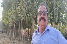 Barmer News: रेतीले समुद्र में उगा दिए सैकड़ों सागवान के पेड़, अब करोड़ों की आय का इंतजार