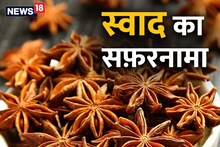 Journey of taste: Chakra flower is also a medicine along with spices, keeps the brain fit, full of nutrients