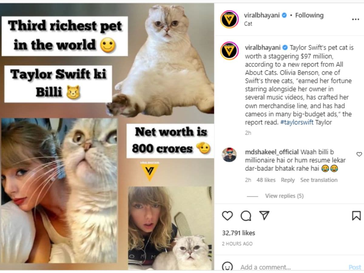 Taylor Swift's cat