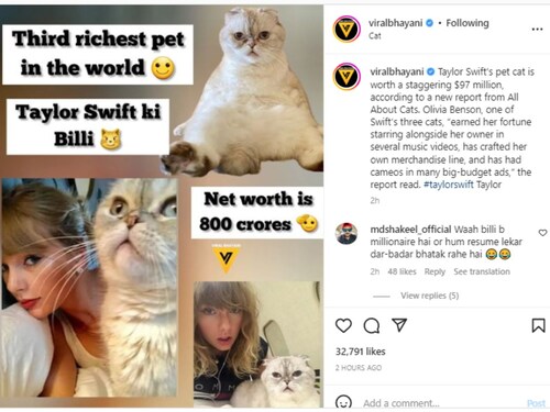 टेलर स्विफ्ट, टेलर स्विफ्ट पालतू बिल्ली, ओलिविया बेन्सन, दुनिया का सबसे अमीर पालतू जानवर, टेलर स्विफ्ट इंस्टाग्राम, टेलर स्विफ्ट बिल्ली नेट वर्थ, टेलर स्विफ्ट बिल्ली फोटो, टेलर स्विफ्ट बिल्ली ऑयलिविया तस्वीर, टेलर स्विफ्ट बिल्ली, कैट ऑयलिविया बेन्सन