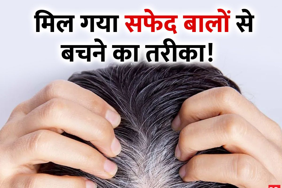 उम्र से पहले सफेद नहीं होंगे बाल, खूब खाएं फल और सब्जियां, स्कैल्प की करें मसाज, जानें 5 बेहतरीन टिप्स - premature greying of hair healthy diet scalp massage prevent white hairs उम्र से पहले सफेद नहीं होंगे बाल, खूब खाएं फल और सब्जियां, स्कैल्प की करें मसाज, जानें 5 बेहतरीन टिप्स - premature greying of hair healthy diet scalp massage prevent white hairs