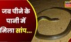 Ambikapur : पानी के पाइप से निकला सांप, लोगों में मची दहशत | Latest Hindi News | CG News | Top News