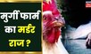 Bihar Crime News : छपरा में मुर्गी फार्म मर्डर मिस्ट्री।Chapra News| Chapra Murgi Kand | Chapra Case
