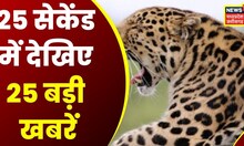 Top Headlines: गांव से शहर तक हर ख़बर पर पैनी नज़र| देखिए 25 सेकेंड में 25 खबरें | News18 MP CG
