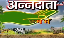 Annadata : आलू बुखारा के बाग की कैसे करें उचित देखरेख,  फूल आते ही रखनी होगी यह विशेष सावधानी