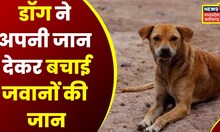 Narayanpur News: नक्सिलयों के लगाए IED पर जाकर बैठा Dog, जवानों को बचाने के लिए दी अपनी जान | latest