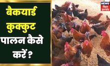Backyard Poultry Farming: रोजगार के लिए बढ़िया विकल्प है बैकयार्ड कुक्कुट पालन | Farmer | Farming