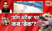 आदमख़ोर कुत्तों का आतंक कब तक? Hyderabad Dog Attack । Desh Nahi Jhukne Denge । Street Dog