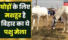 Bihar Vishesh News: घोड़ों के लिए मशहूर है Bihar का ये पशु मेला, Sonpur मेले के बाद फाल्गुन मेला