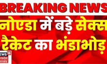 Noida Sex Racket: नोएडा में बड़े सेक्स रैकेट का खुलासा, 4 आरोपियों को हिरासत में लिया गया | Top News