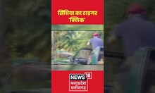 सिंधिया का टाइगर 'क्लिक' | #shorts