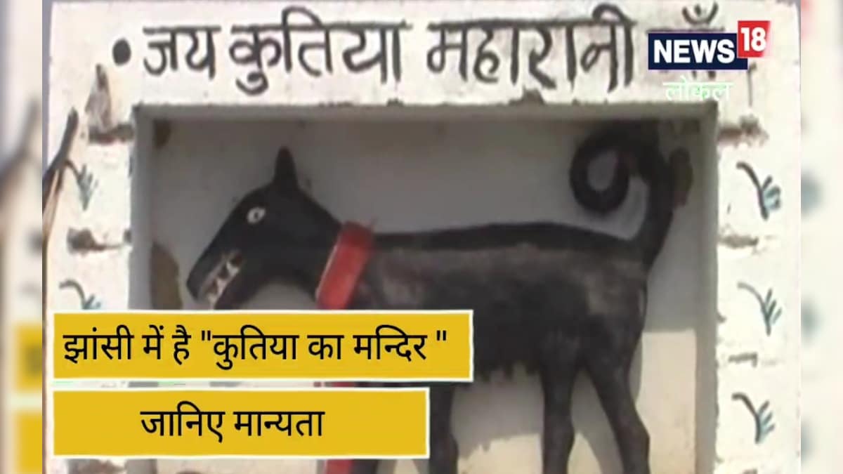 Jhansi news अजब गजब !भारत के इस गांव में होती है कुतिया महारानी मां