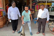 چھتیس گڑھ کے گاؤں میں گھر کے اندر سے ملنے والی اس جانور کی پاٹی سے بنی سب سے مہنگی کافی