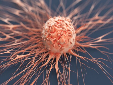 Cancer bacteria 
