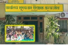 उदयपुर में वन विभाग के कर्मचारी धरने पर बैठे, वेतन बढ़ोतरी के साथ की प्रमोशन की मांग