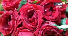 Valentine Day 2023: दरभंगा में 20 गुणा महंगा हुआ प्यार का इजहार, कोलकाता, पुणे और बेंगलुरु से आये गुलाब