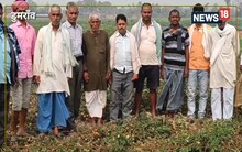 बक्सर में टमाटर के दाम इतने गिरे कि किसानों के चेहरे हो गए पीले, कहा-लागत निकालना मुश्किल