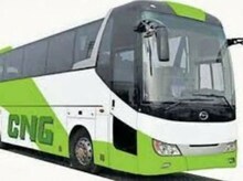 प्रयागराज की सड़कों पर दौड़ेंगी CNG बसें, जानें - महाकुंभ को लेकर प्लान
