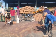 Baran News : अन्नदाता को नहीं मिल रहा काले सोने का भाव, मंडी में हो रही रिकार्ड तोड़ आवक